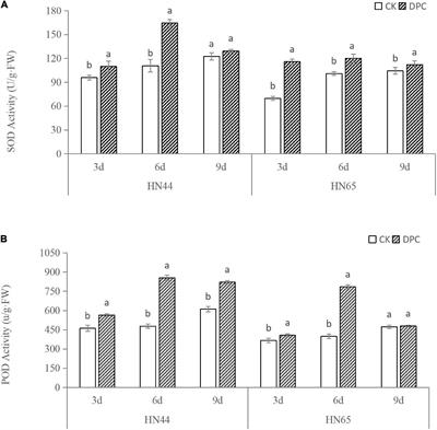 Mepiquat chloride inhibits soybean growth but improves drought resistance